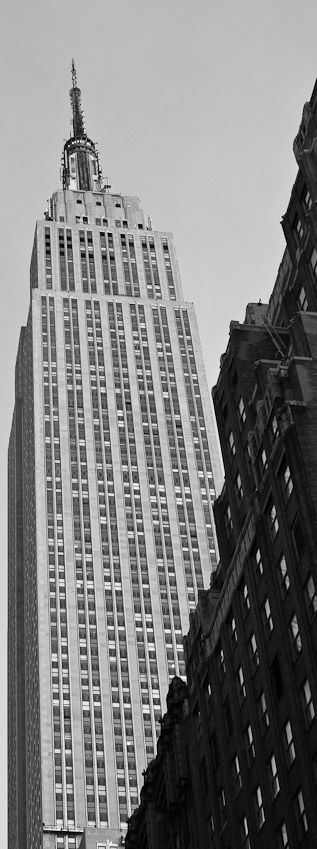 _DSC2251