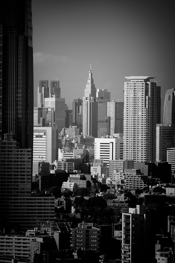 _DSC4867