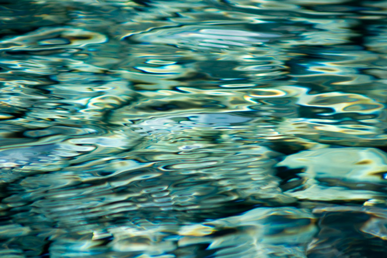 DSC01690