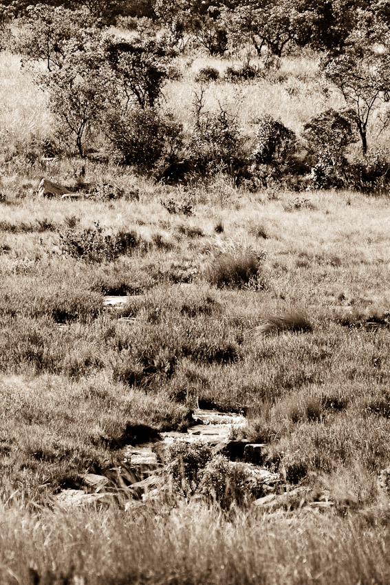 DSC06440