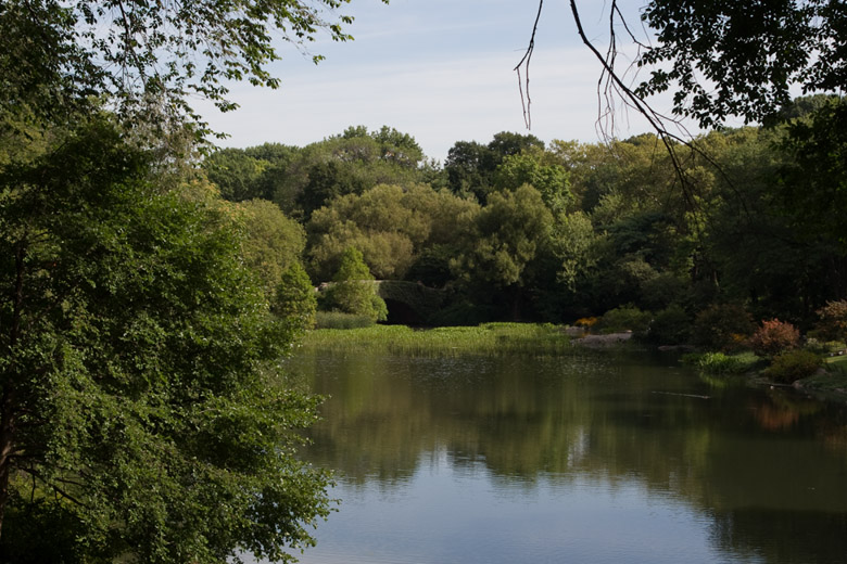 _DSC2329