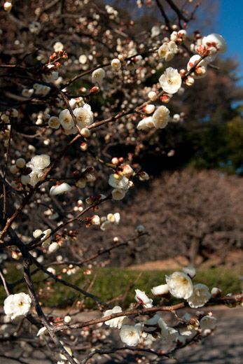 _DSC4837